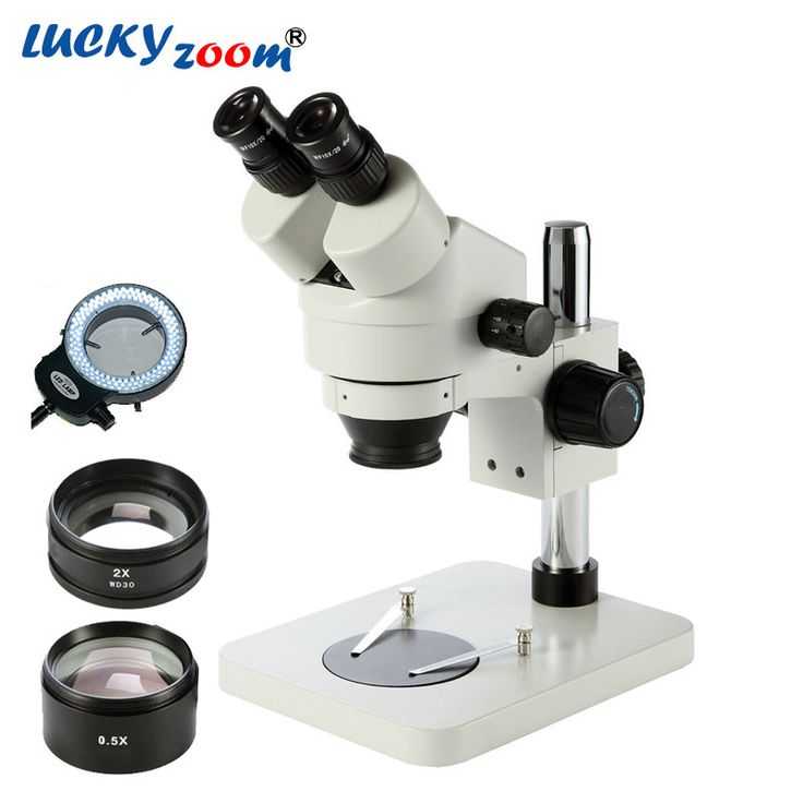 Measuring with A Microscope Worksheet as Well as 30 Best Microscopes Images On Pinterest