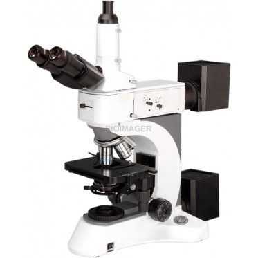 Measuring with A Microscope Worksheet or 26 Best Upright Epi Fluor Microscopes Images On Pinterest