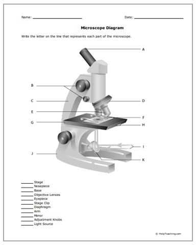 Measuring with A Microscope Worksheet with 122 Besten Free Printable Worksheets Bilder Auf Pinterest