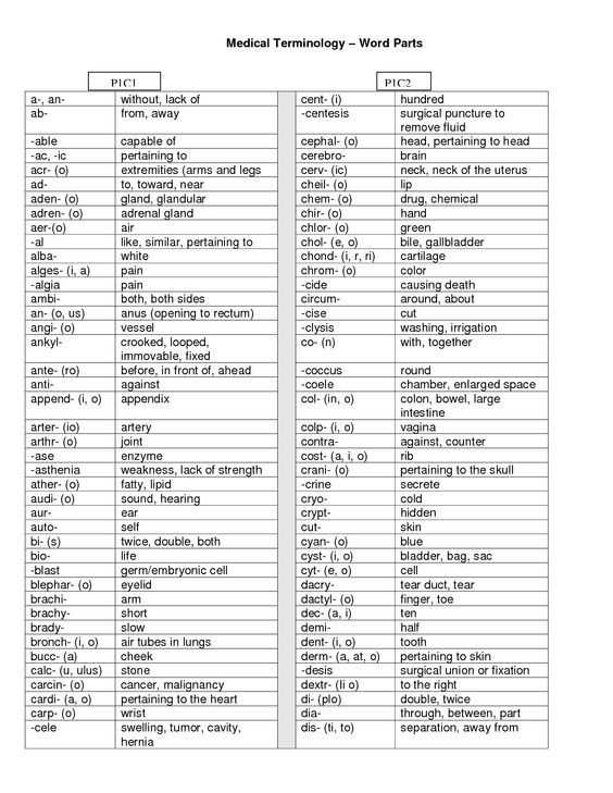 Medical Terminology Prefixes Worksheet and 279 Best Medical In Depth Images On Pinterest