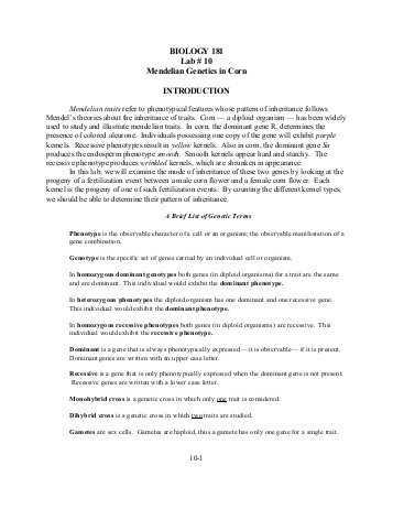 Mendelian Genetics Worksheet Answer Key with 8 Useful Resources for Writing Scholarship and College Admission