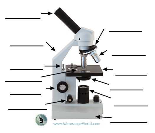 Microscope Labeling Worksheet Along with 16 Best Parts Of the Microscope Images On Pinterest