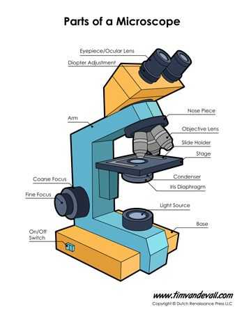 Microscope Labeling Worksheet Along with Microscope Diagram Science Printables Pinterest