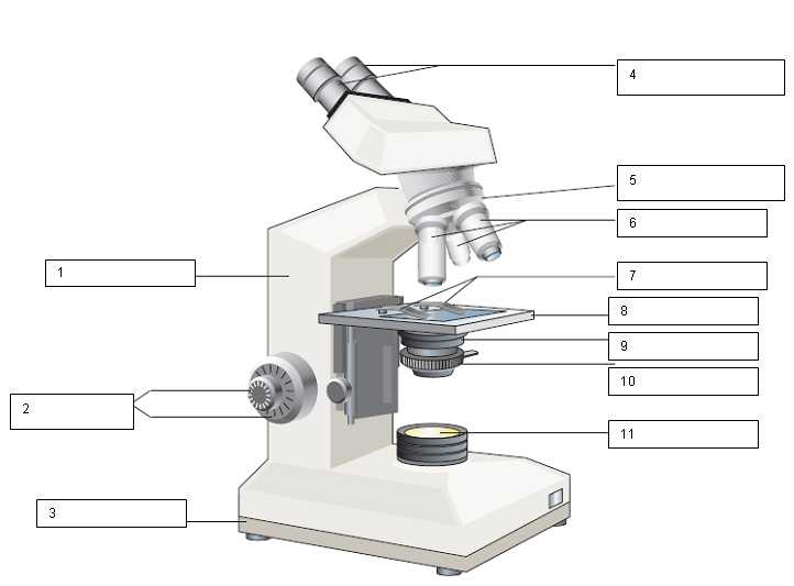 Microscope Labeling Worksheet and Microscopes Worksheets the Best Worksheets Image Collection