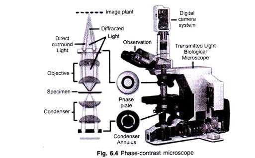 Microscope Labeling Worksheet or 5 Important Types Of Microscopes Used In Biology with Diagram