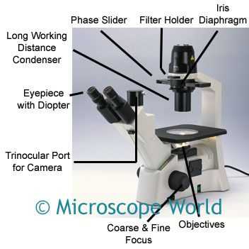 Microscope Labeling Worksheet together with 16 Best Parts Of the Microscope Images On Pinterest