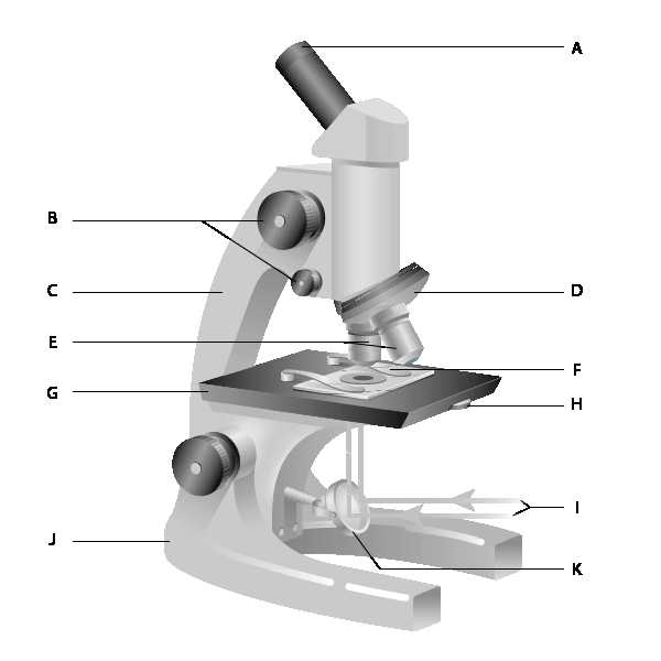Microscope Parts and Use Worksheet Answer Key Along with Free Printable Microscope Diagram Worksheet Great for Learning the