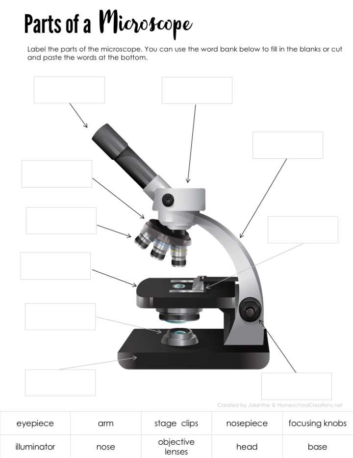 Microscope Parts and Use Worksheet Answer Key Also Parts Of A Microscope Free Printable