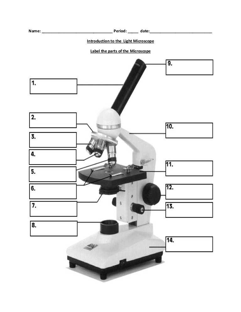 Microscope Parts and Use Worksheet Answer Key and Microscopes Worksheets the Best Worksheets Image Collection