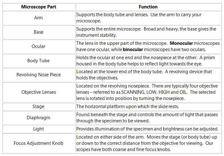 Microscope Parts and Use Worksheet Answer Key together with Microscope Parts and Functions Worksheet the Best Worksheets Image