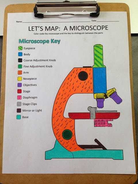 Microscope Parts and Use Worksheet Answer Key with A School Called Home A View Through the Microscope Identifying