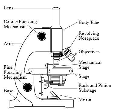 Microscope Parts and Use Worksheet Answer Key with Discount Microscope Pound Microscopes Stereoscopes