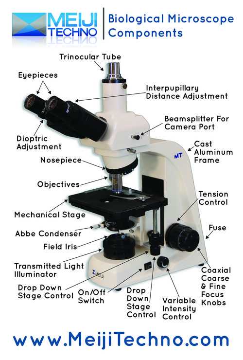 Microscope Parts and Use Worksheet or Mt4300l Led Trinocular Brightfield Biological Microscope Mt4000