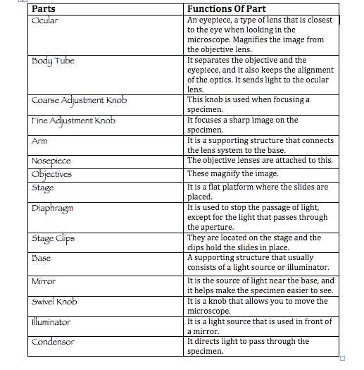 Microscope Parts and Use Worksheet with Microscope Parts and Functions Worksheet the Best Worksheets Image