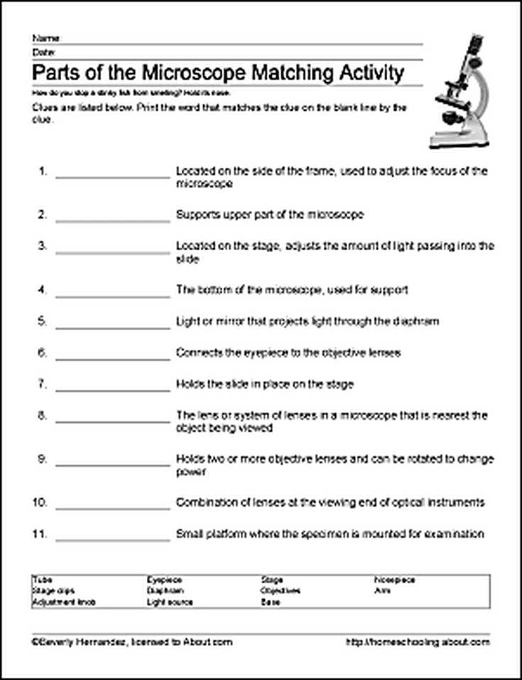 Microscope Parts and Use Worksheet with Parts Of the Microscope Printables Word Searches and More