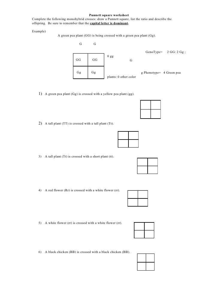 Middle School Science Worksheets or Punnett Square Worksheet by Kpolson Via Slideshare