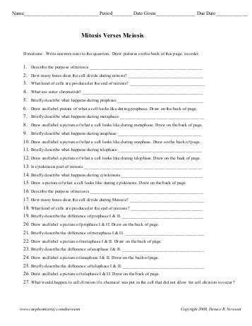 Mitosis Worksheet Answers Also Fresh Sales Resume New 156 Best Resume Job Pinterest Ideas