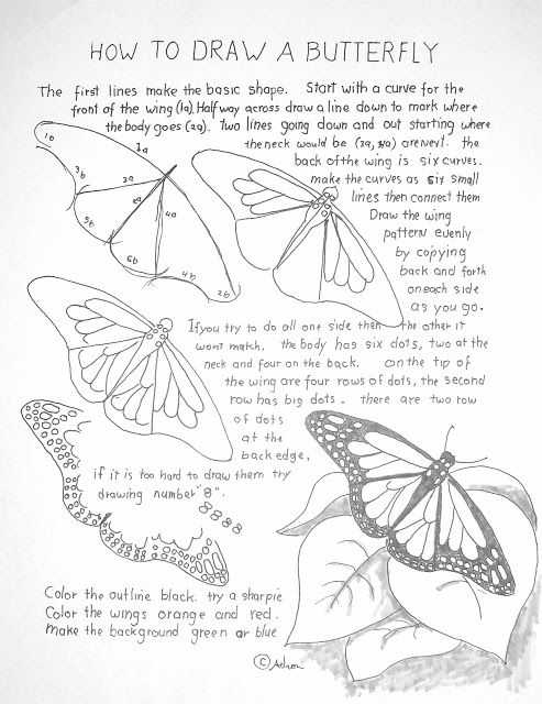 Monarch butterfly Worksheets as Well as How to Draw Worksheets for Young Artist How to Draw A Monarch