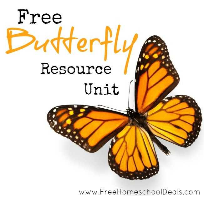 Monarch butterfly Worksheets with 154 Best butterflies In the Classroom Images On Pinterest