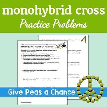 Monohybrid Cross Practice Problems Worksheet with Freebie Monohybrid Cross Practice Problems Give Peas A Chance