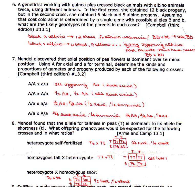Monohybrid Cross Problems 2 Worksheet with Answers together with Codominance Worksheet Blood Types Answers Worksheets for All