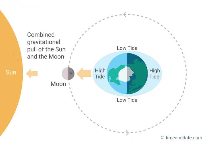 Moon Phases Worksheet Answers Along with the Moon Causes Tides On Earth