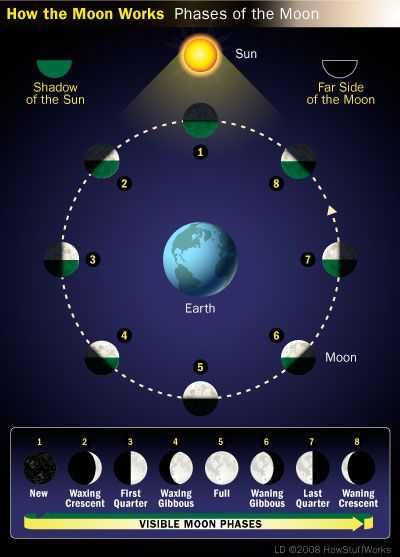 Moon Phases Worksheet Answers and 90 Best Moon Phases & Lunar Cycle Images On Pinterest