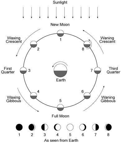 Moon Phases Worksheet Answers as Well as 13 Best Science Cycle 2 Images On Pinterest