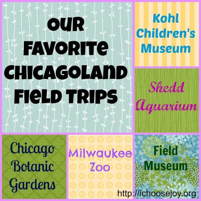 Museum Of Science and Industry Field Trip Worksheets together with 68 Best Field Trips Images On Pinterest