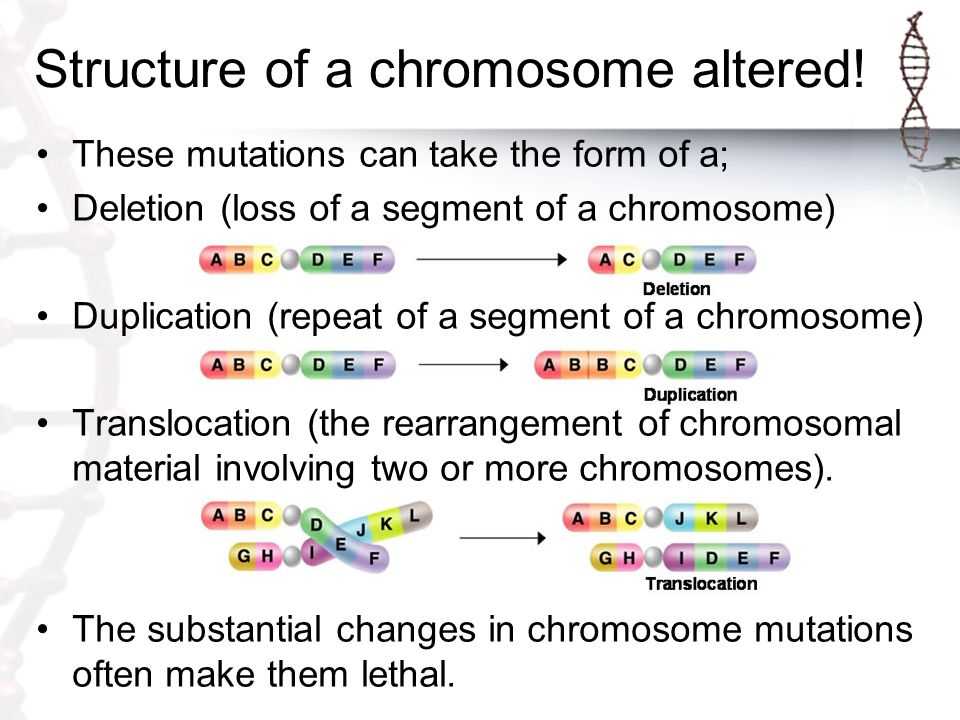 Mutations Worksheet Deletion Insertion and Substitution Along with 1 What are Genetic Disorders Caused by Ppt Video Online