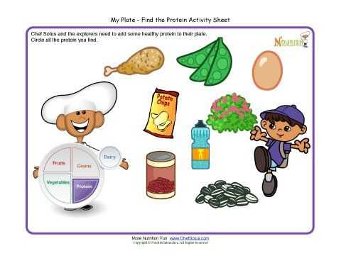 My Plate Worksheets as Well as My Plate Activity for Children Protein Food Group Make A Healthy