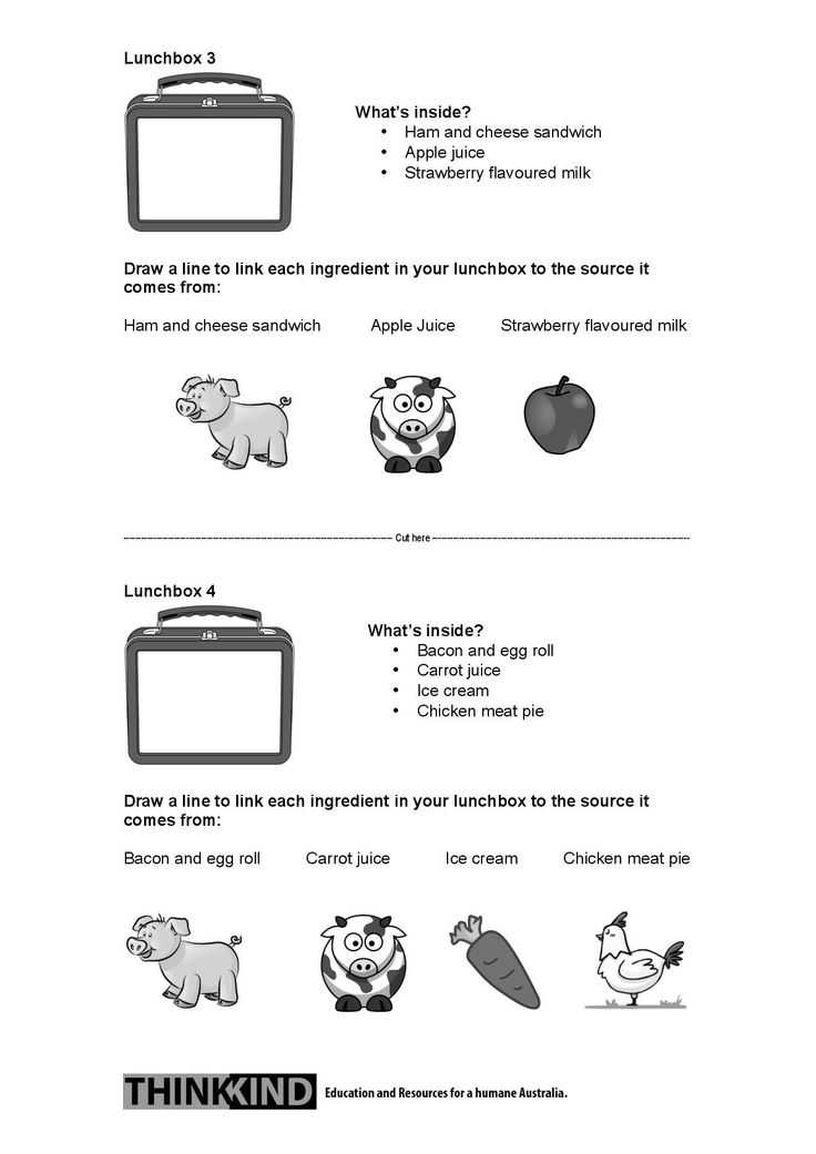 My Plate Worksheets with 24 Best Student Worksheets Images On Pinterest