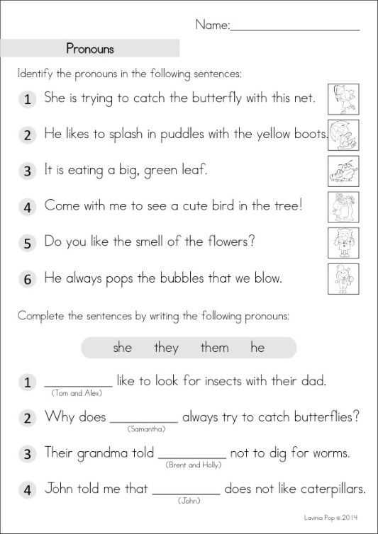 Nouns and Pronouns Worksheets as Well as 133 Best Slp Pronoun Freebies Images On Pinterest