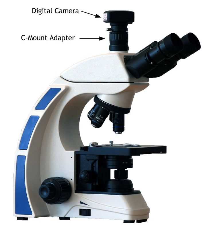 Optical Microscopes Worksheet Along with 16 Best Parts Of the Microscope Images On Pinterest