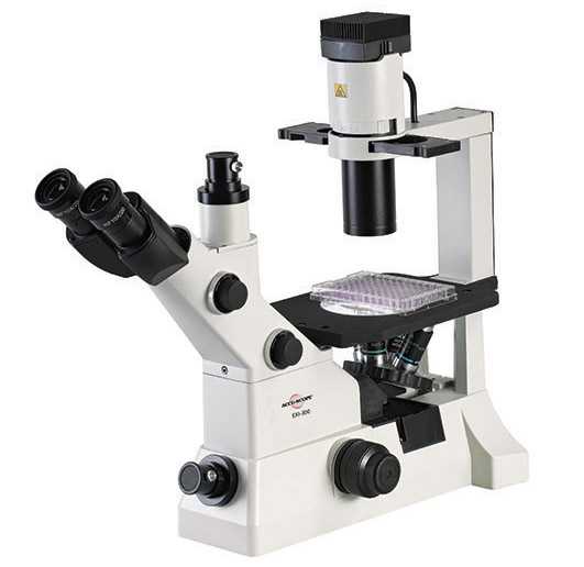 Optical Microscopes Worksheet Also Exi 300 Inverted Microscope