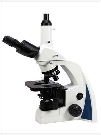 Optical Microscopes Worksheet or 9 Best soil Microscopes Images On Pinterest