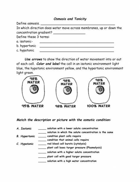 Osmosis and tonicity Worksheet and tonicity and Osmosis Worksheet the Best Worksheets Image Collection