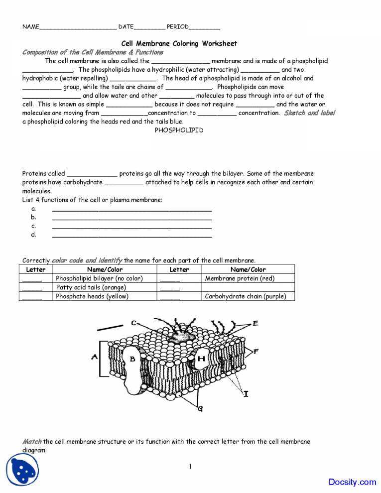 Osmosis and tonicity Worksheet or Worksheet Templates Cell Membrane and Transport Worksheet Answers