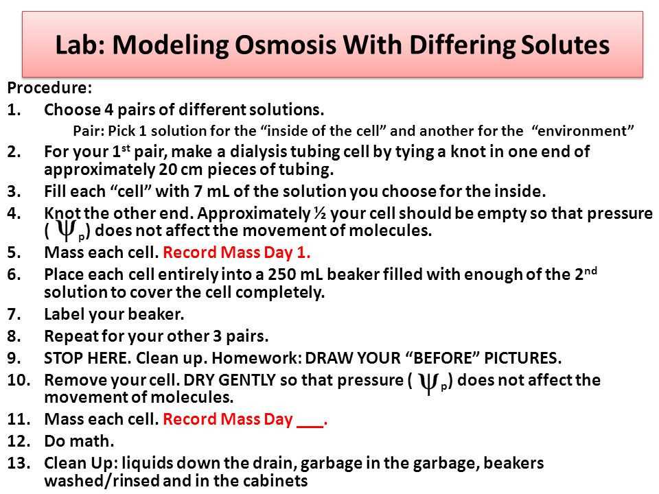 Osmosis and tonicity Worksheet or Worksheets 48 Awesome Diffusion and Osmosis Worksheet Answers Full
