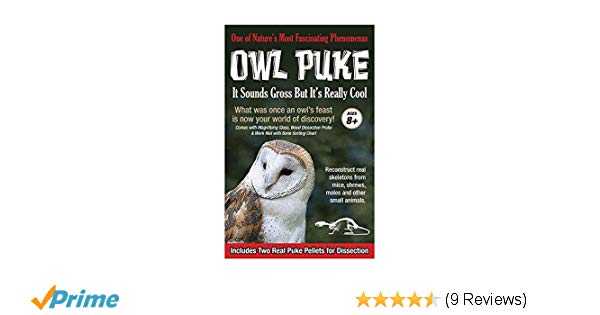Owl Pellet Dissection Worksheet as Well as Amazon Owl Puke toys & Games
