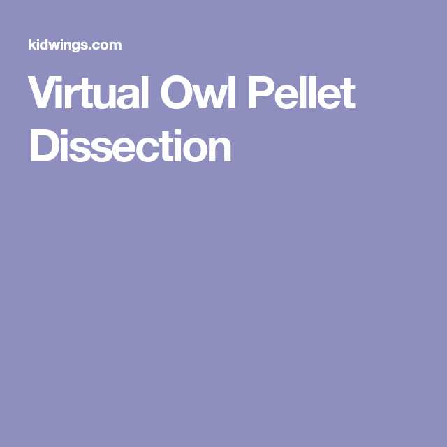 Owl Pellet Dissection Worksheet with Virtual Owl Pellet Dissection