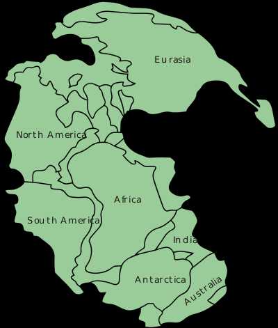 Pangea Worksheet Answers or High School Earth Science Continental Drift Wikibooks Open Books