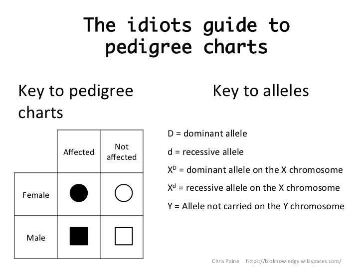 Pedigree Charts Worksheet Answers or Genetics Pedigree Worksheet