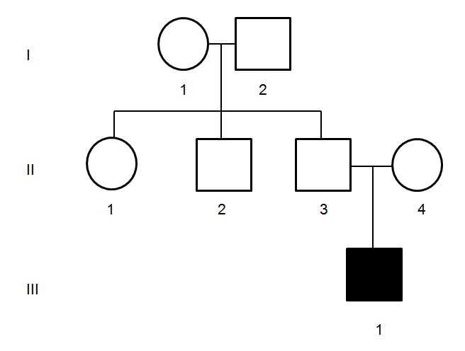 Pedigree Charts Worksheet Answers together with All About Pedigrees Pedigrees for Predicting Genetic Traits