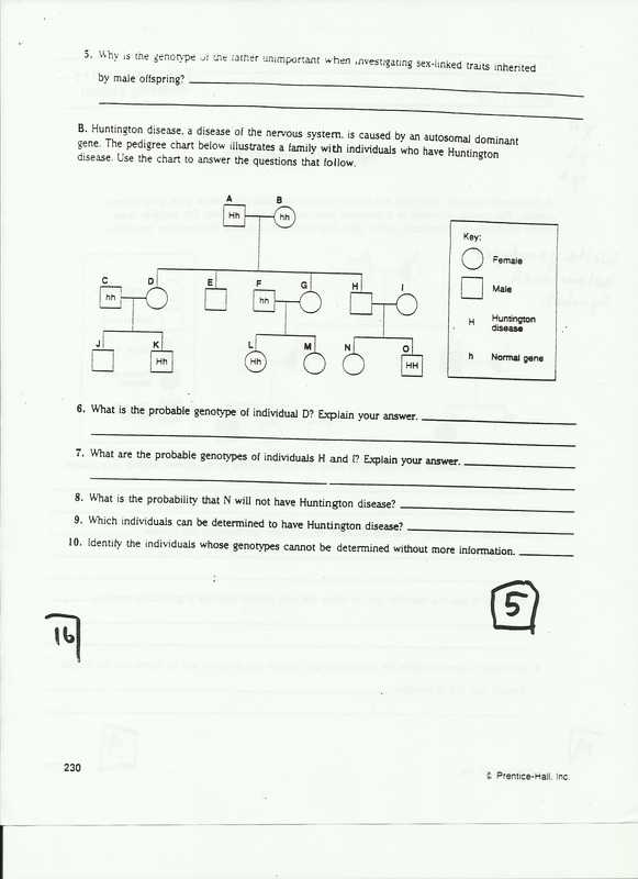 Pedigree Practice Problems Worksheet together with Pedigree Practice Worksheets Worksheets for All