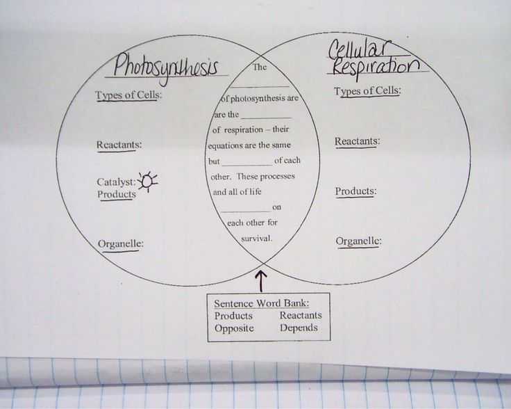 Photosynthesis Diagrams Worksheet Answers with 1873 Best Classroom Images On Pinterest