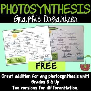Photosynthesis Worksheet Answer Key Along with 164 Best Bio Cell Respiration & Synthesis Images On Pinterest
