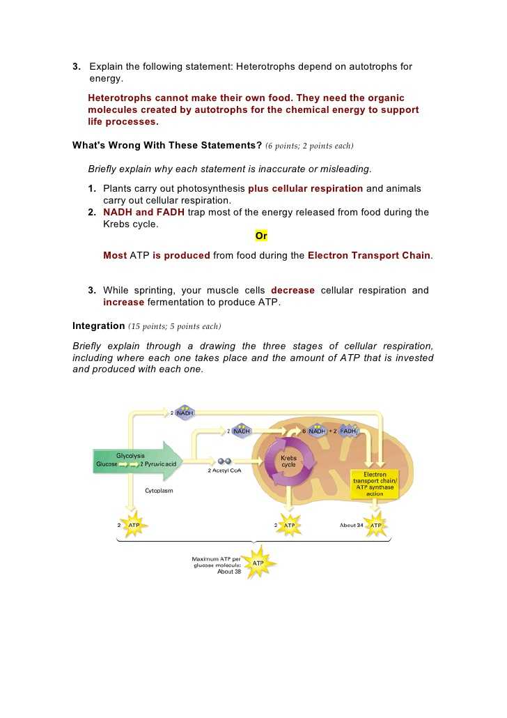 Photosynthesis Worksheet Answer Key Also Synthesis Worksheet Key Kidz Activities