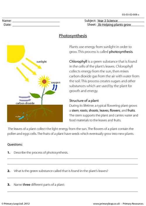 Photosynthesis Worksheet Answer Key as Well as 413 Best Science Images On Pinterest