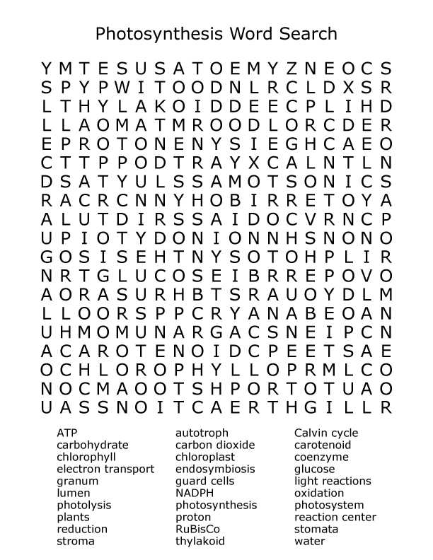 Photosynthesis Worksheet Answer Key together with Synthesis Word Search Puzzle